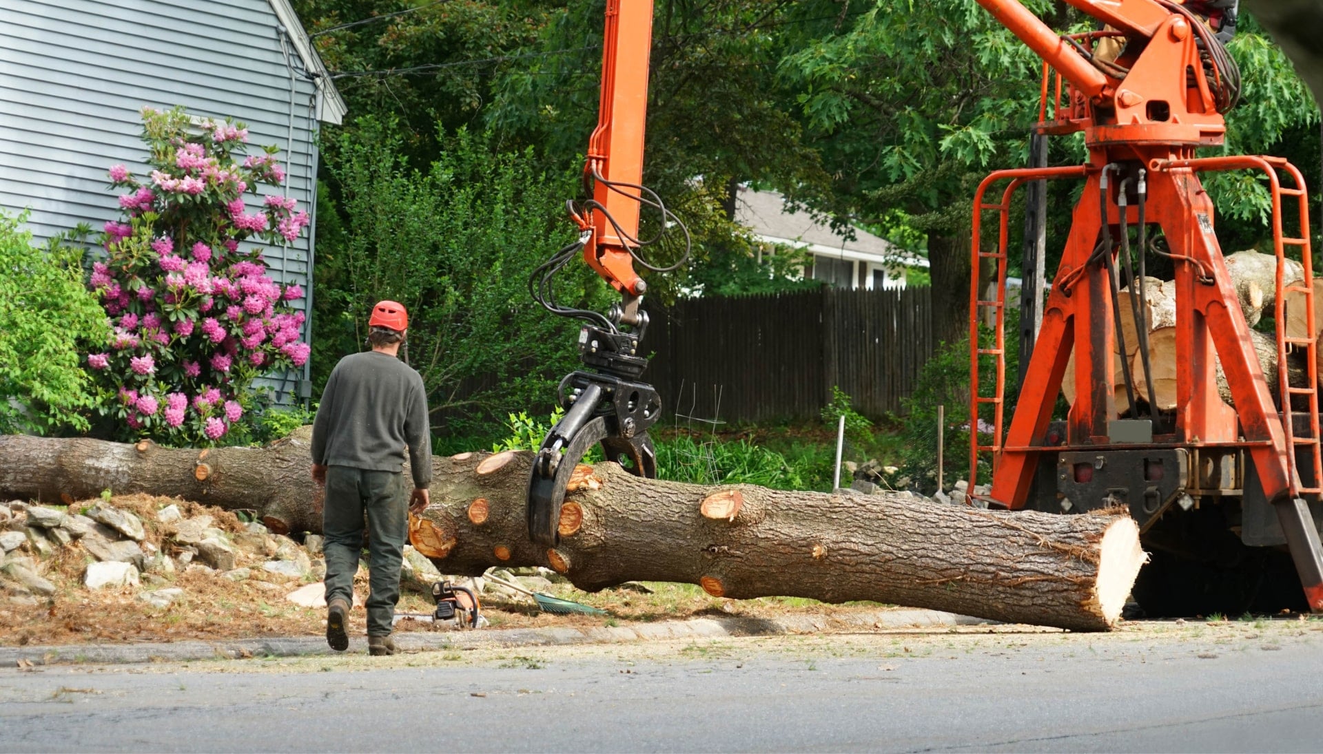 Local partner for Tree removal services in Lawrence